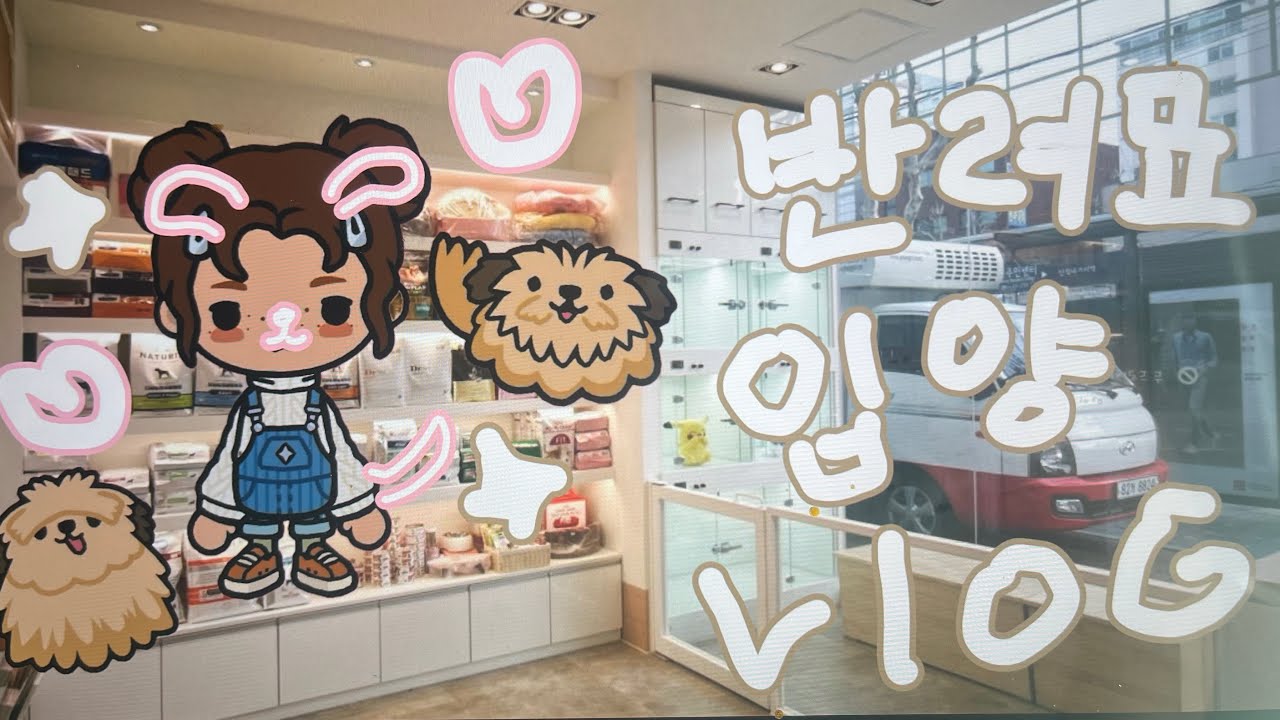 반려묘 입양  vlog(=^x^=)//vlog//토카월드