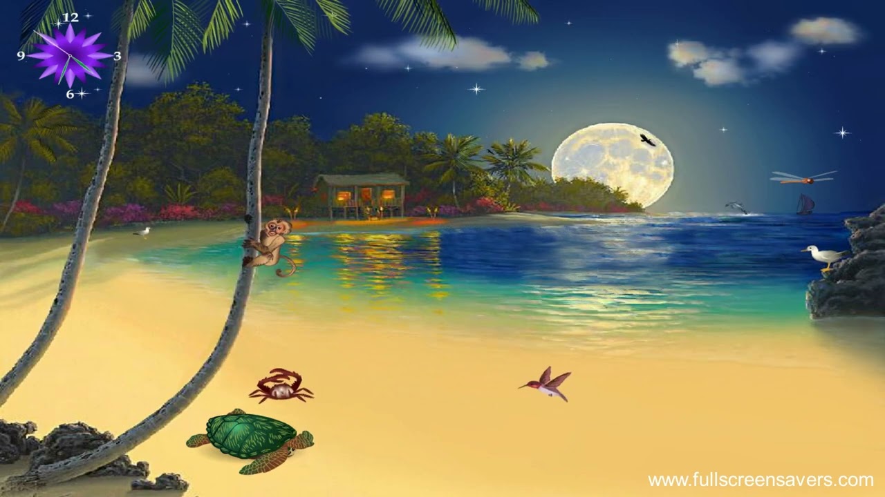 Tropical Cocktail - Tropical Screensavers