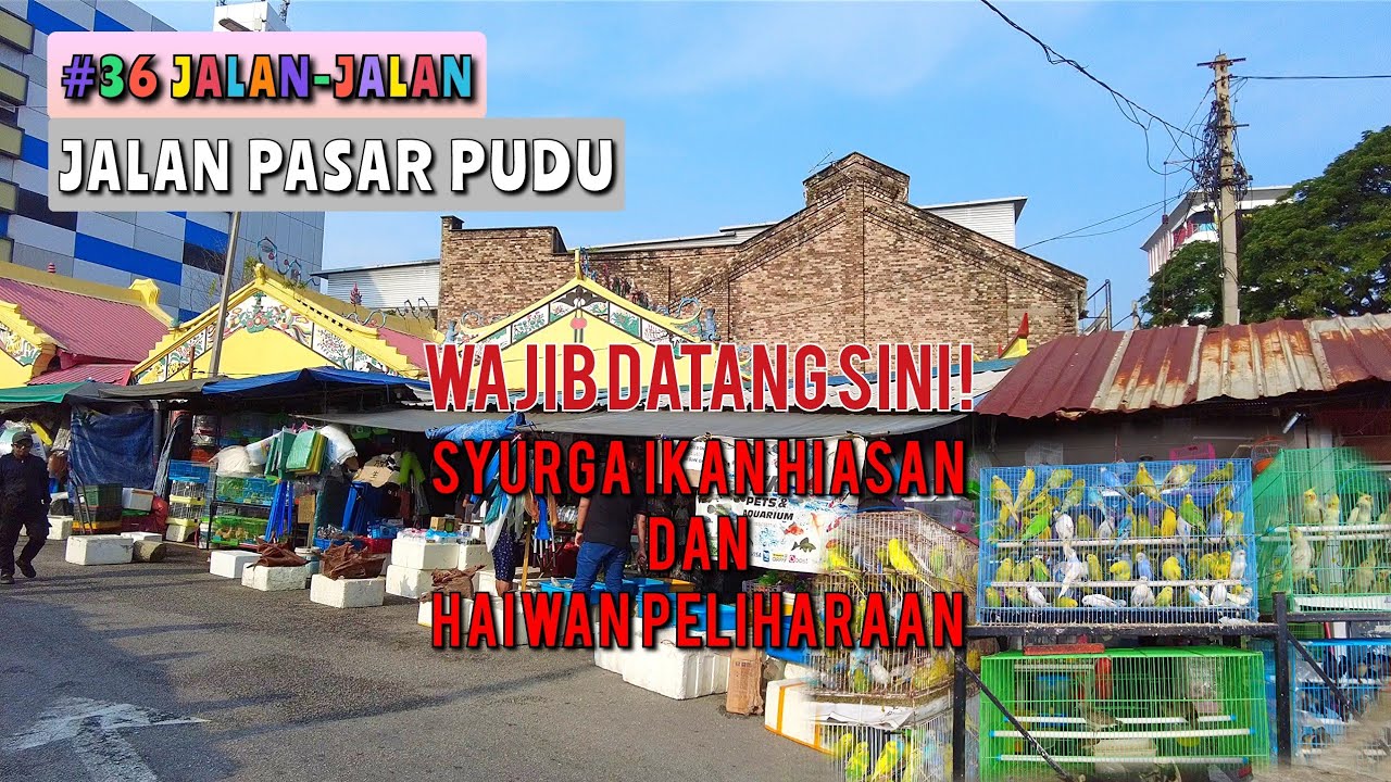 Kedai Ikan Hiasan Dan Haiwan Peliharaan, Jalan Pasar Pudu