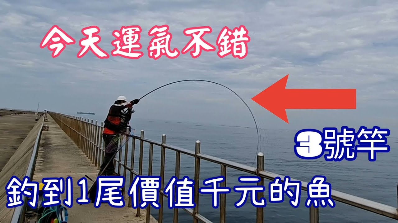 [胖咪]今天出運啊，釣獲一隻價值上千塊的／#志成專業磯釣誘餌／#太平洋13X碳矽分子pe線／#獵魚人釣具／#YOSHIDA卡夢線／#阿維牌磯釣練餌／#fishing ！