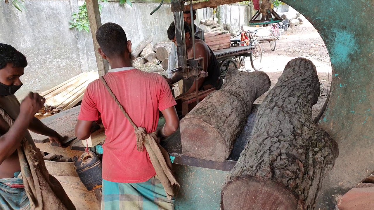 High Quality Mahogany Wood Cutting in Sawmill Bangladesh।Dangerous Band Sawmill Work Asia Bangladesh