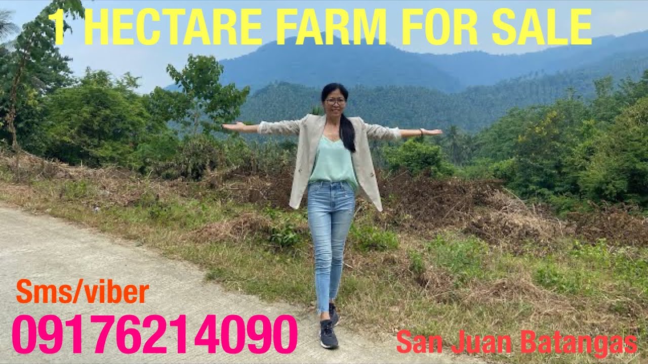 Vlog478: 1 HECTARE FARM  WITH MOUNTAIN VIEW FOR SALE IN SAN JUAN BATANGAS PHILIPPINES