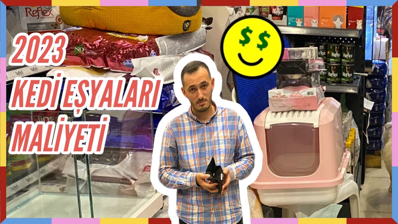 2023 KEDİ MALZEMELERİ MALİYETİ