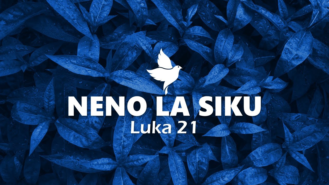 NENO LA SIKU | Luka 21 | Maombi Ya Kushinda Sadaka Za Uovu