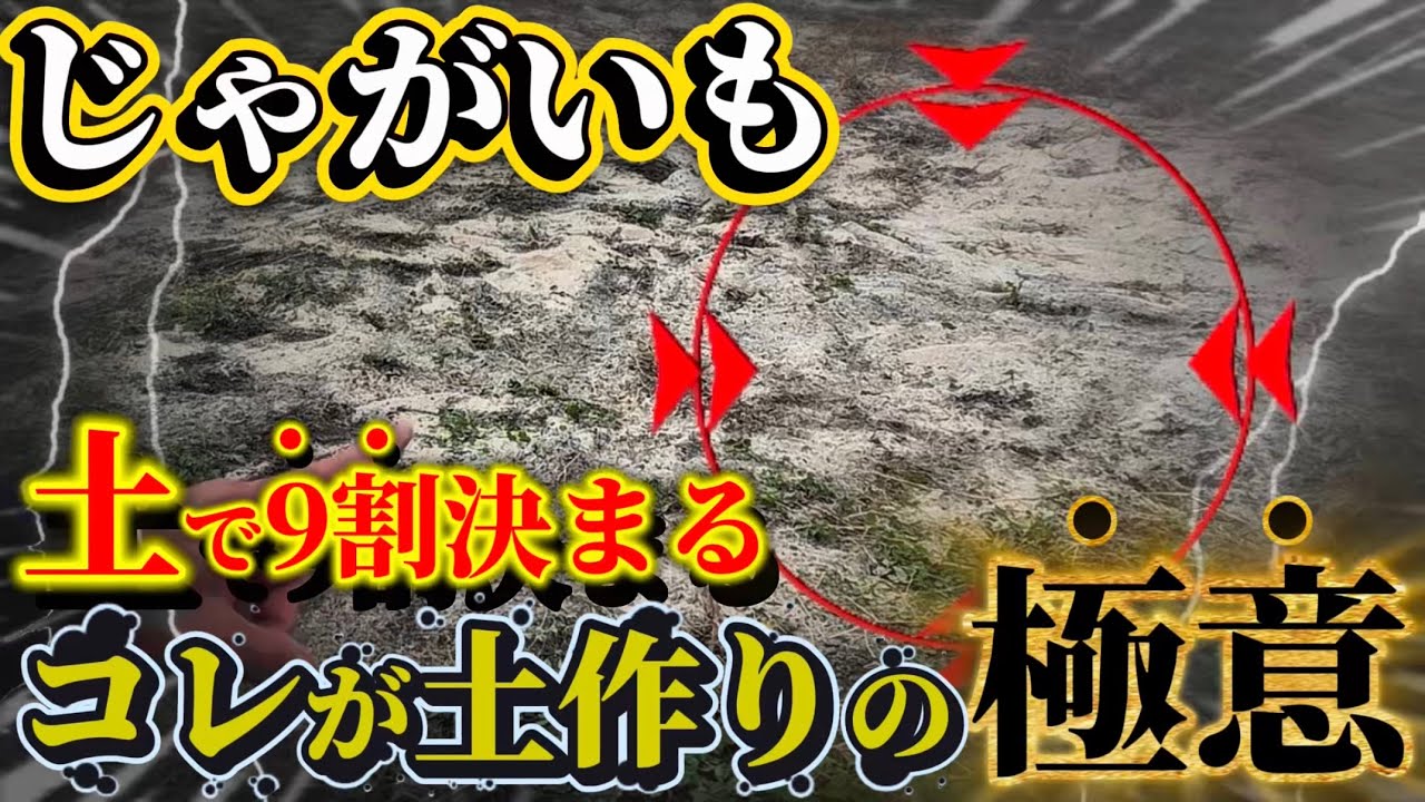 【じゃがいも】これぞ土作りの極意！コレを入れると大きいジャガイモを収穫出来ます。