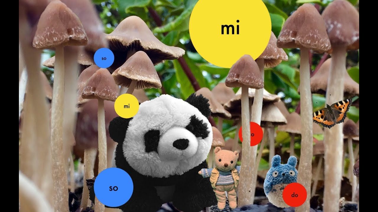 Rød nu skal vi spille rød