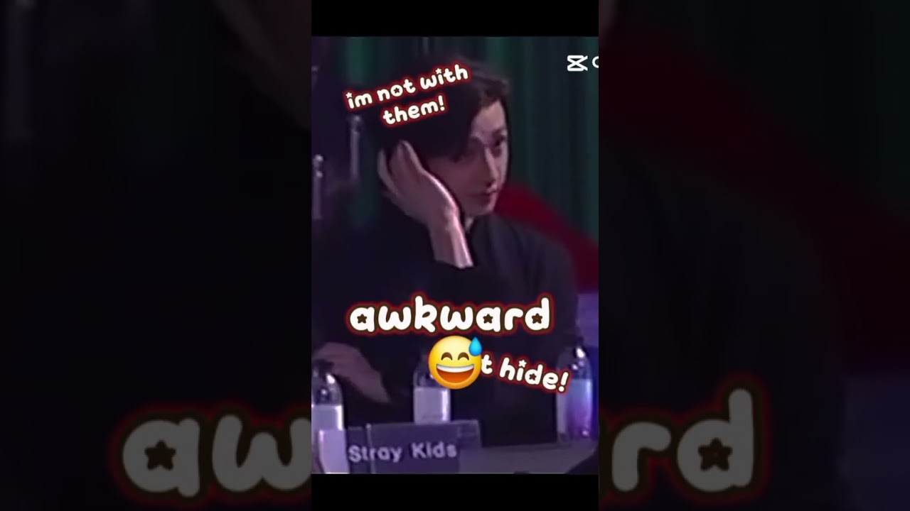 Skz memes to destroy your last braincell pt.2