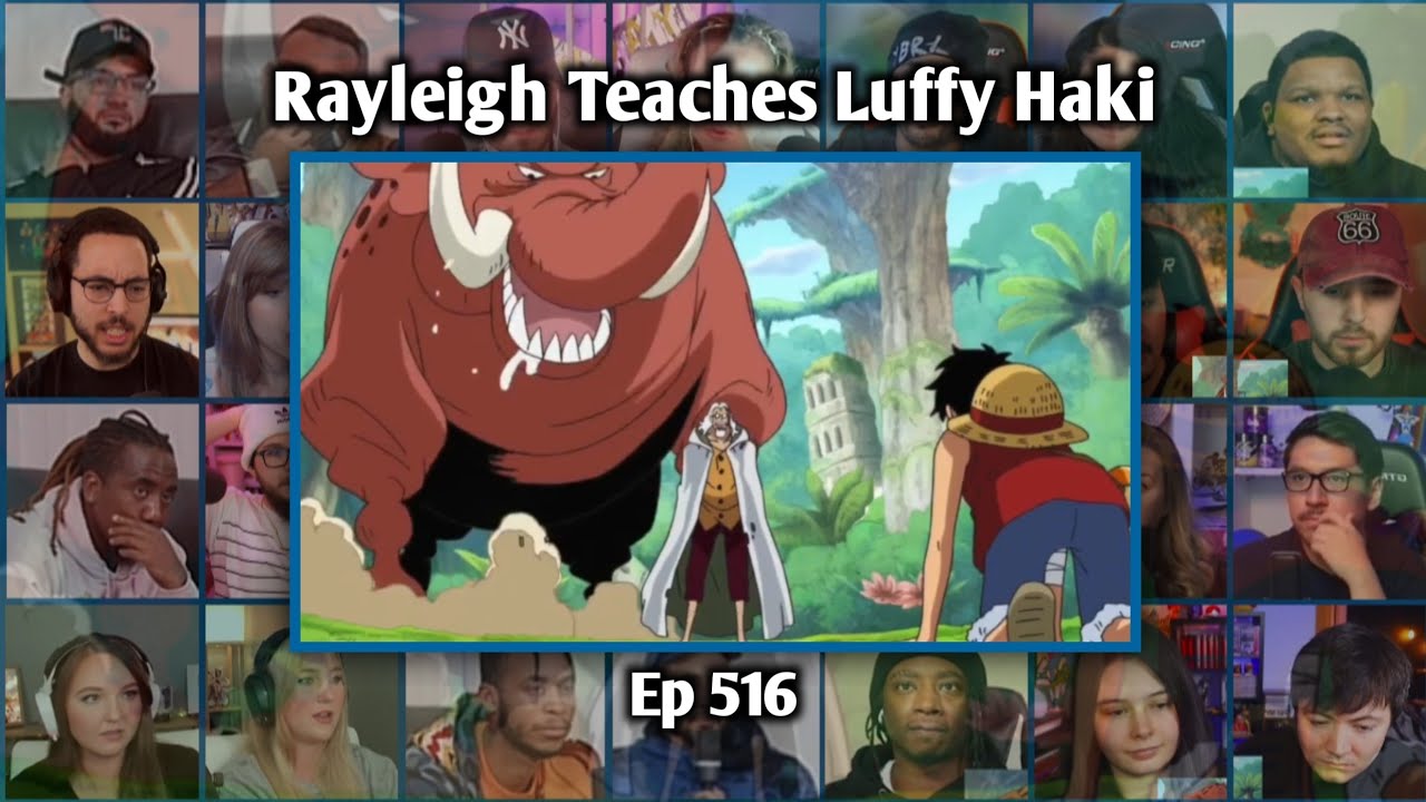 LUFFY TRAINING WITH RAYLEIGH REACTION MASHUP - ONE PIECE EPISODE 516