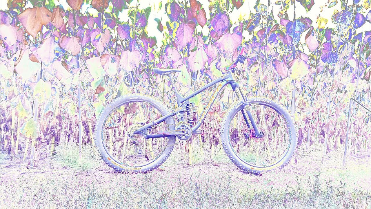 Norco SIGHT A1