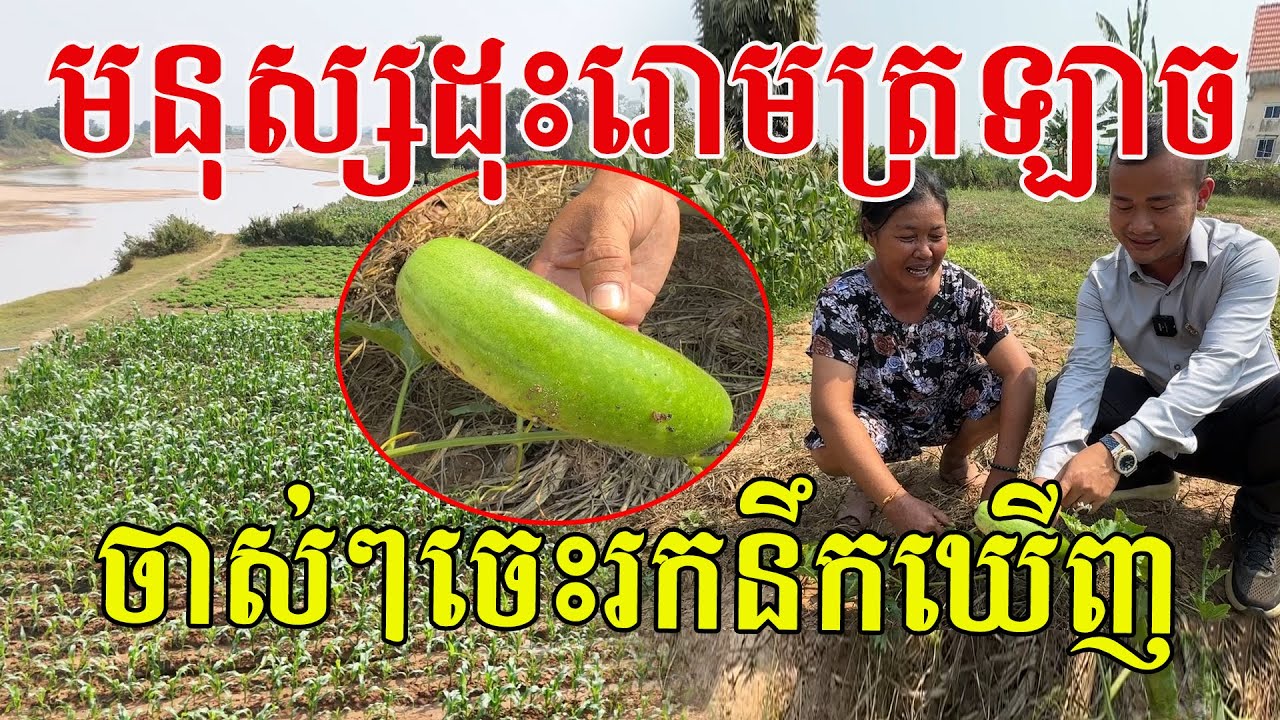 បងប្អូនណាខ្លះធ្លាប់ដុះដូចត្រឡាច? ចាស់ៗចេះរកនឹកឃើញ សុំសរសើរមីងណាស់