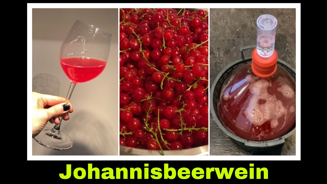 roter Johannisbeerwein | Wein aus Johannisbeeren selber machen | Selbstversorgung: Fruchtwein