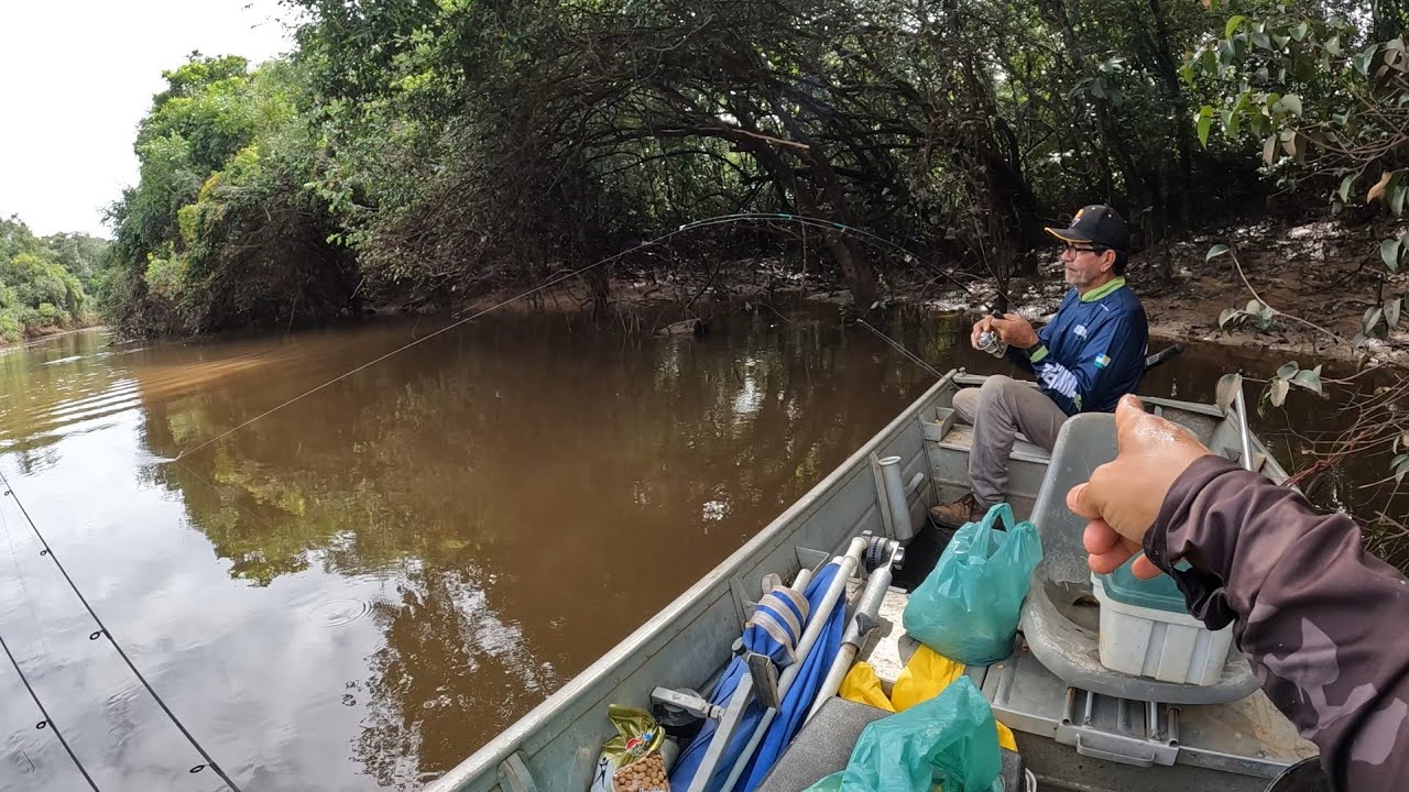 NOVA CEVA, MUITOS PEIXES! PIAU, PIAPARA, PACU, CARANHA, MATRINXÃ! Pescaria