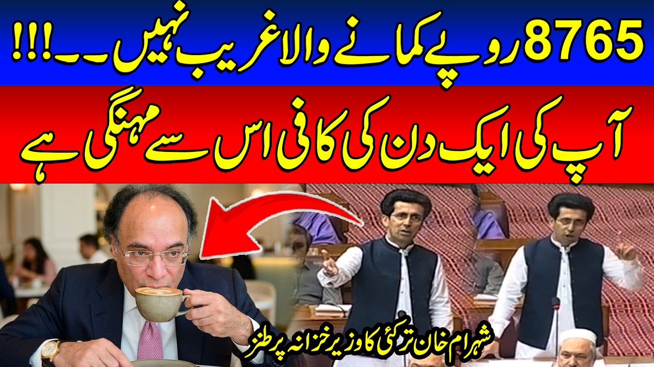 &ldquo;Rs 8,765 Income Isn't Poor?&rdquo; | Shehram Khan Tarakai Mocks Finance Minister During Budget Debate