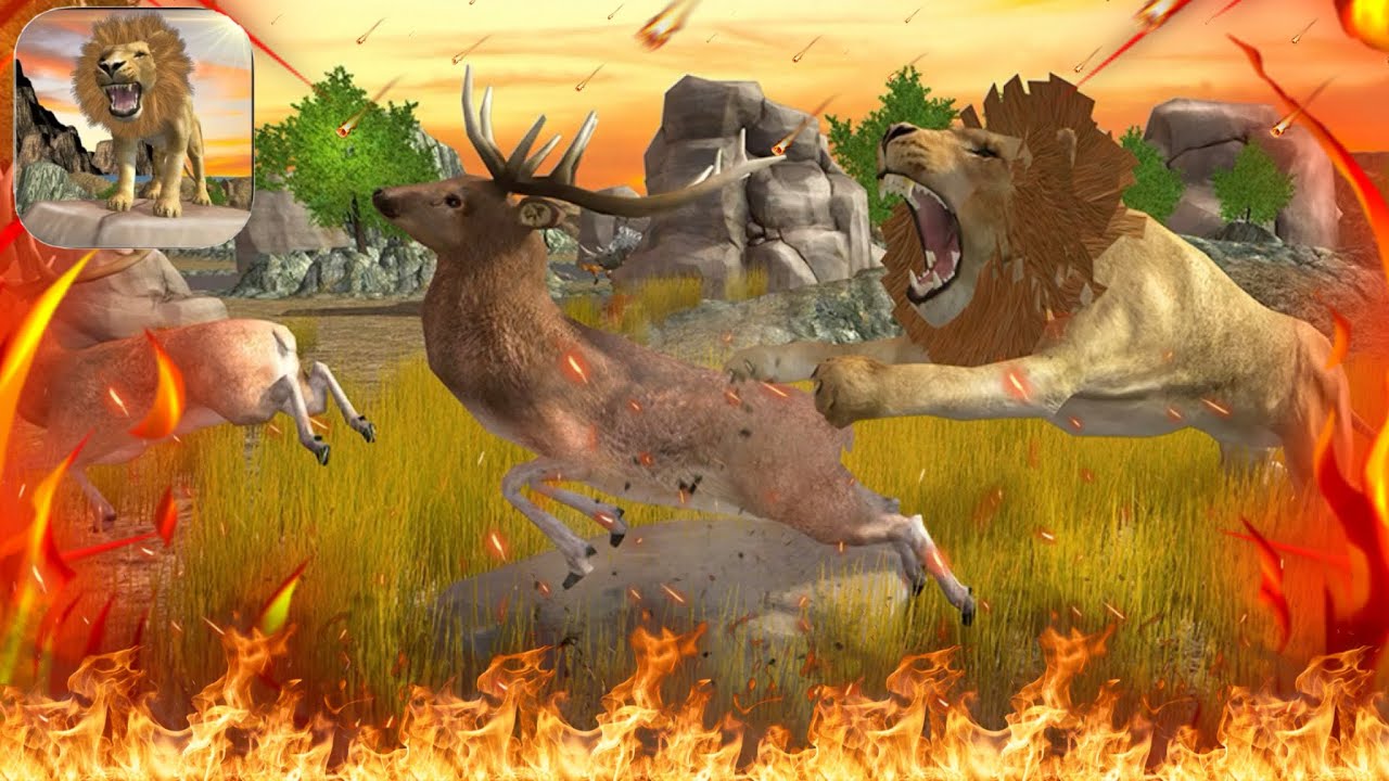 Lion Simulator Gameplay | Lion Games | Lion Simulator | Animal Simulator | Mobile Games | Android