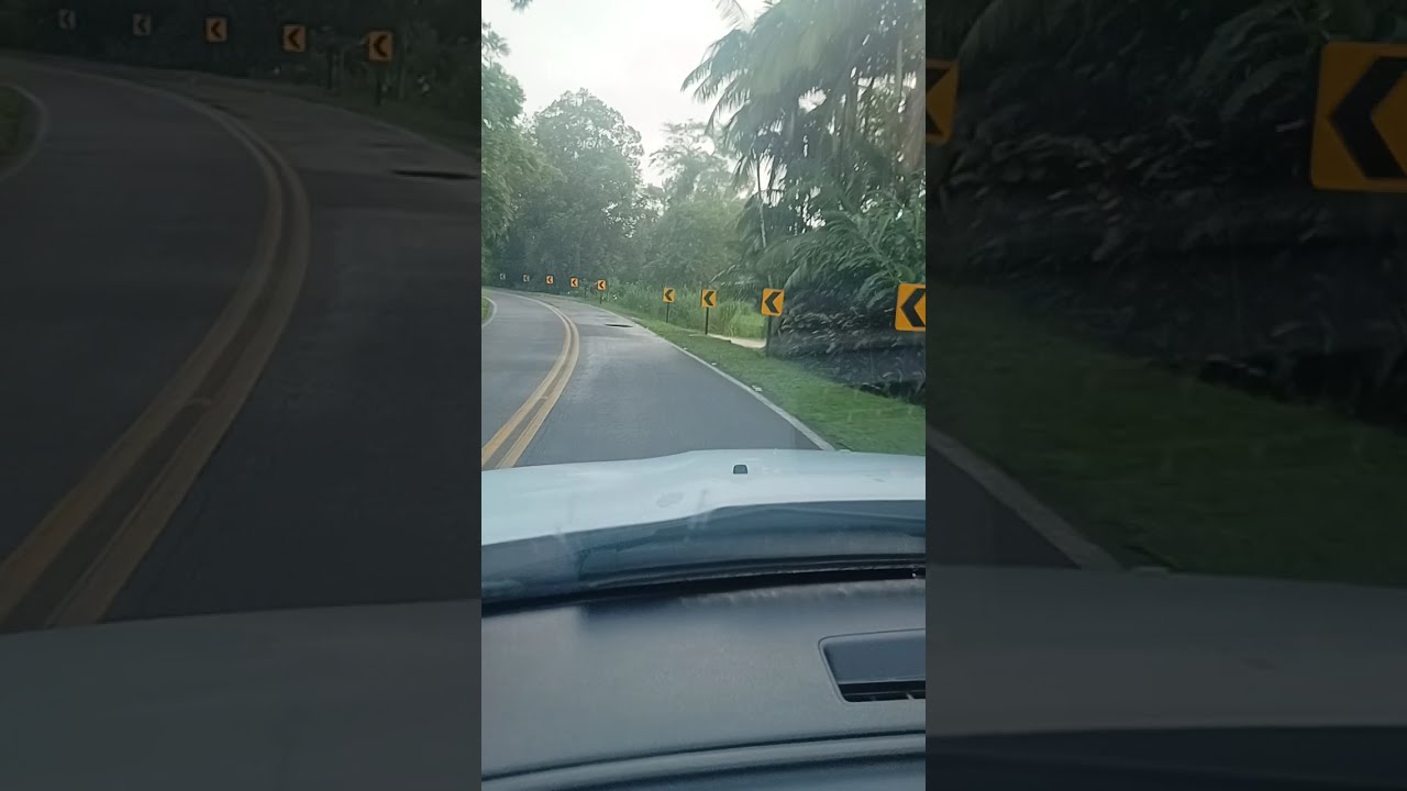 Trilha do telégrafo - 04  #trilhadotelegrafo