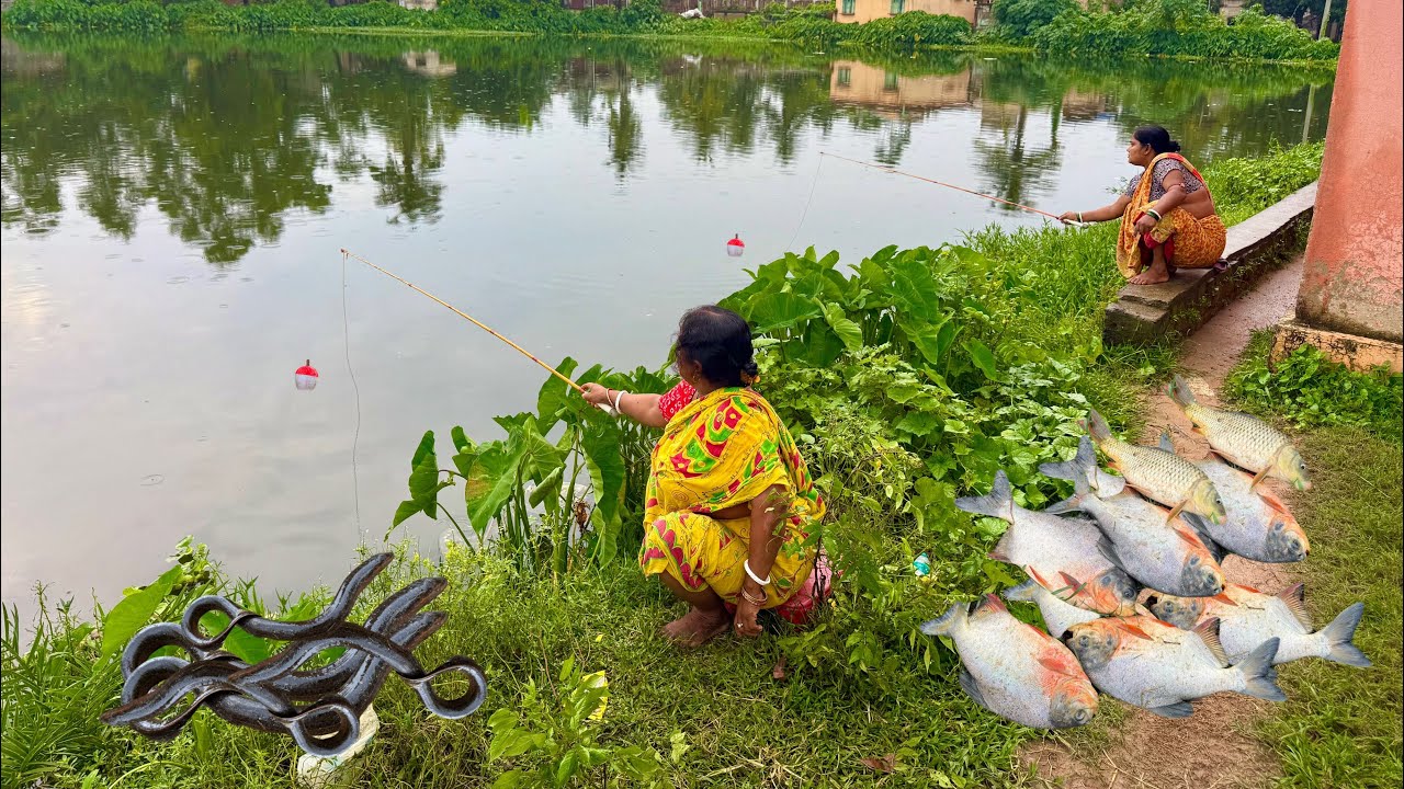 Fishing Video || We should learn all the fishing techniques from our grandmother