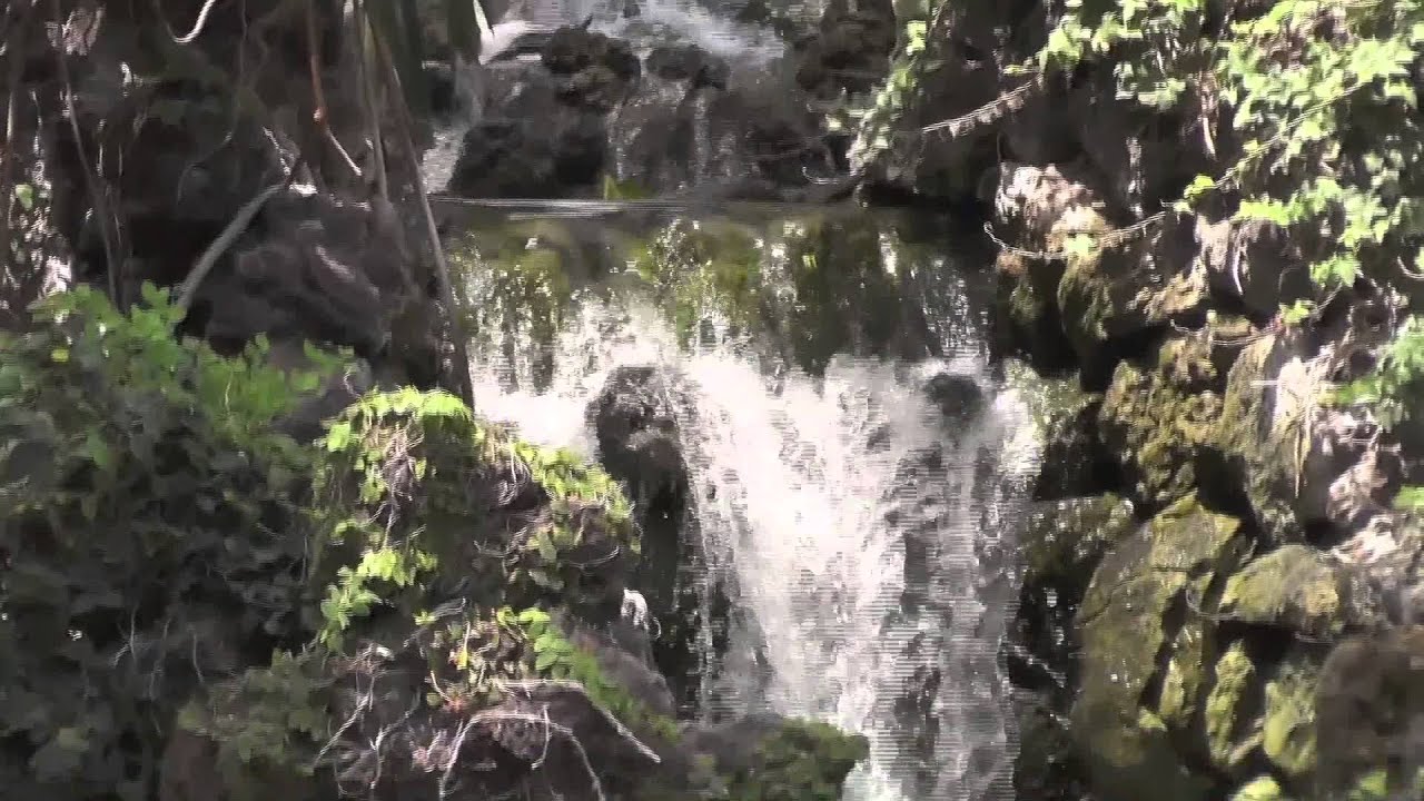 Puerto de la Cruz Taoro Park