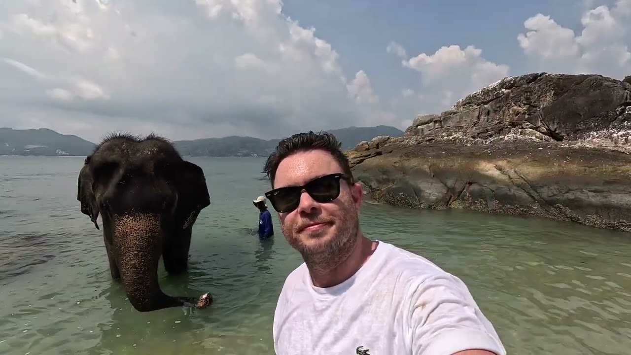 elephants on the beach