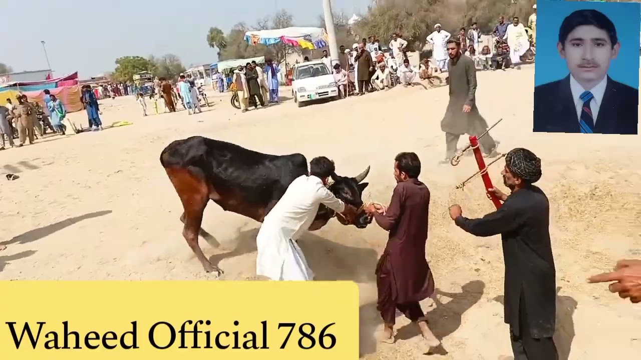 جلسہ کمیٹی3/3/2026💵🏆🥇پنجال مملی خاں بلوچ منظوربھابھہ بیل جلسہ دربار بابا ناصر شاہ