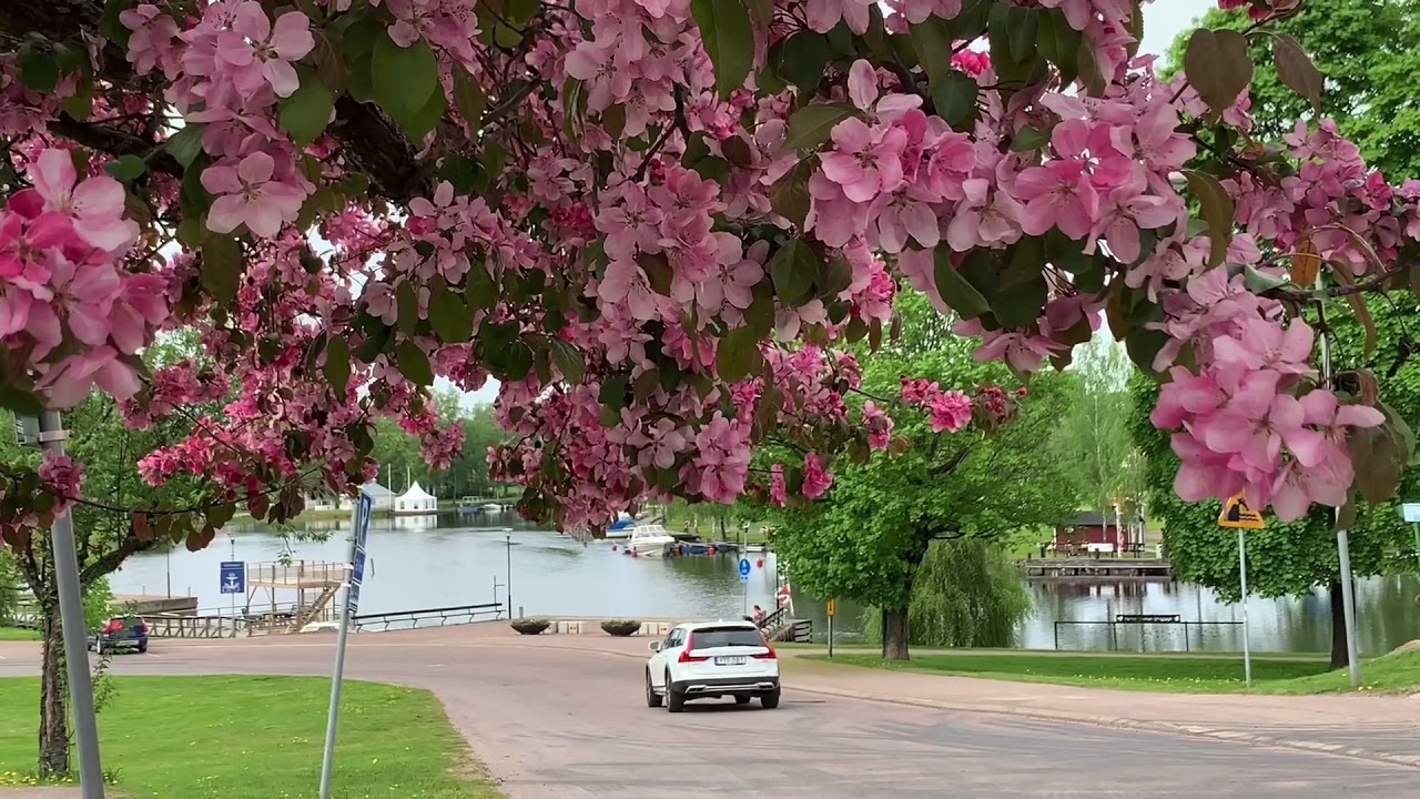 Byggboom i Sunne