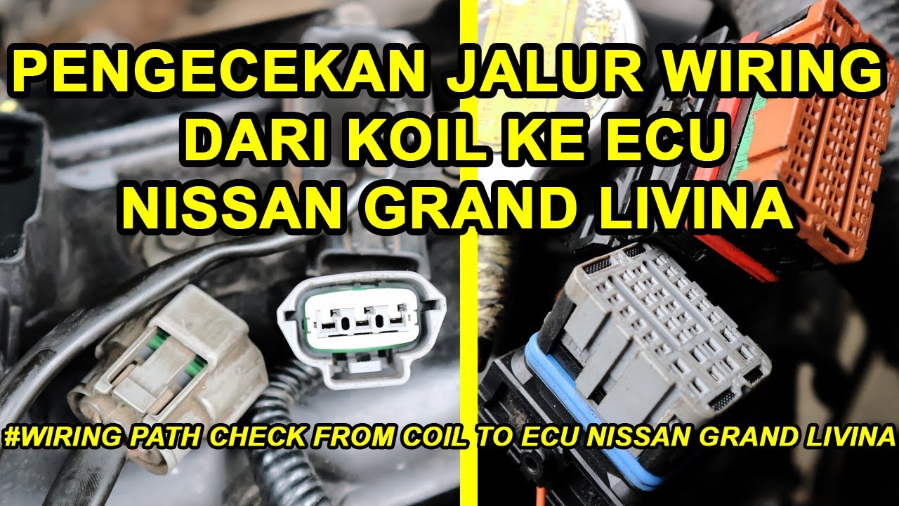 Pengecekan Jalur Wiring Dari Koil Ke ECU Nissan Grand Livina