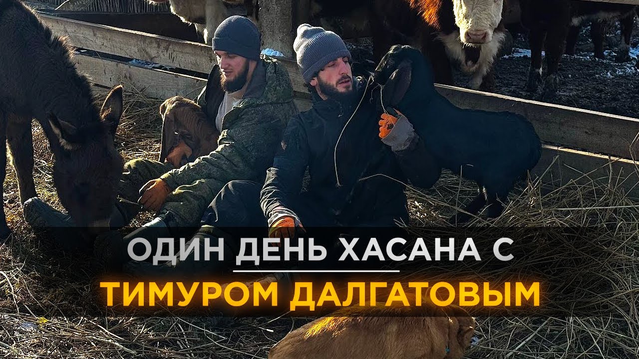ОДИН ДЕНЬ ХАСАНА С ТИМУРОМ ДАЛГАТОВЫМ (ФЕРМЕРОМ)