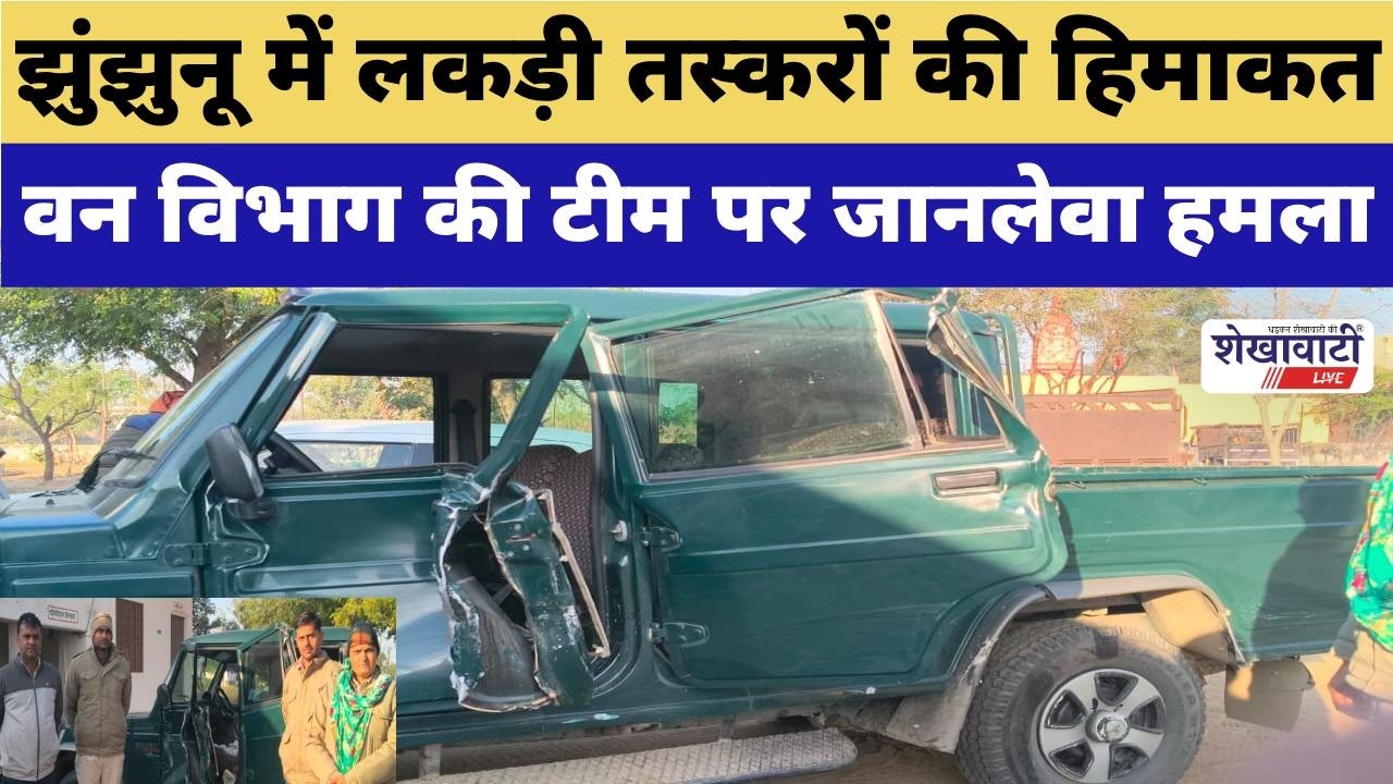 झुंझुनू में लकड़ी तस्करों की हिमाकत, वन विभाग की टीम पर जानलेवा हमला #jhunjhununews #shekhawatilive