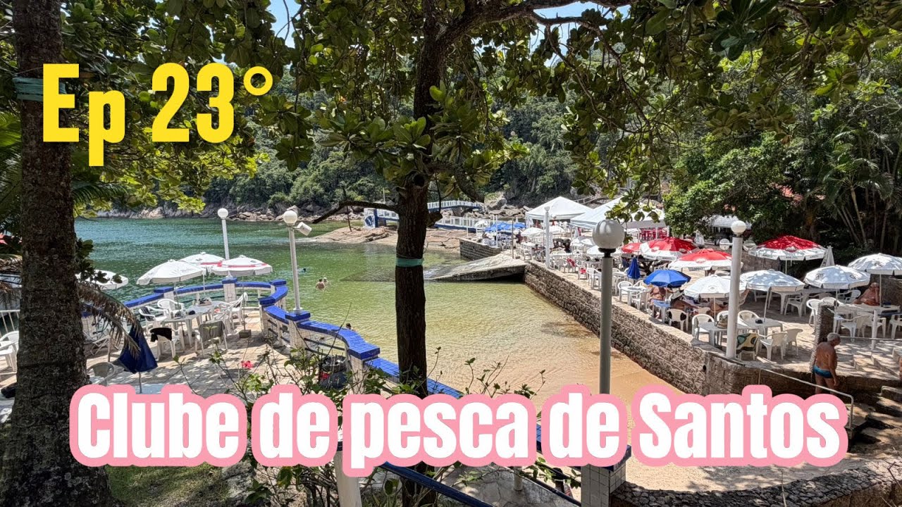 Ilha das palmas ou melhor clube de pesca de Santos um lugar lindo pra você  passar o dia pescando 🎣