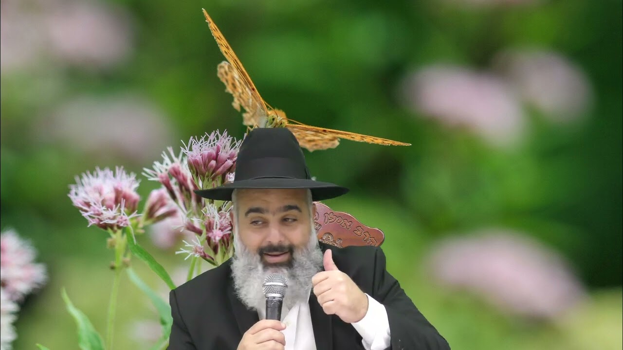 פלא יועץ - זהירות !!! הכעס הוא מסוכן לגוף ולנפש האדם !!! (כעס חלק ב )