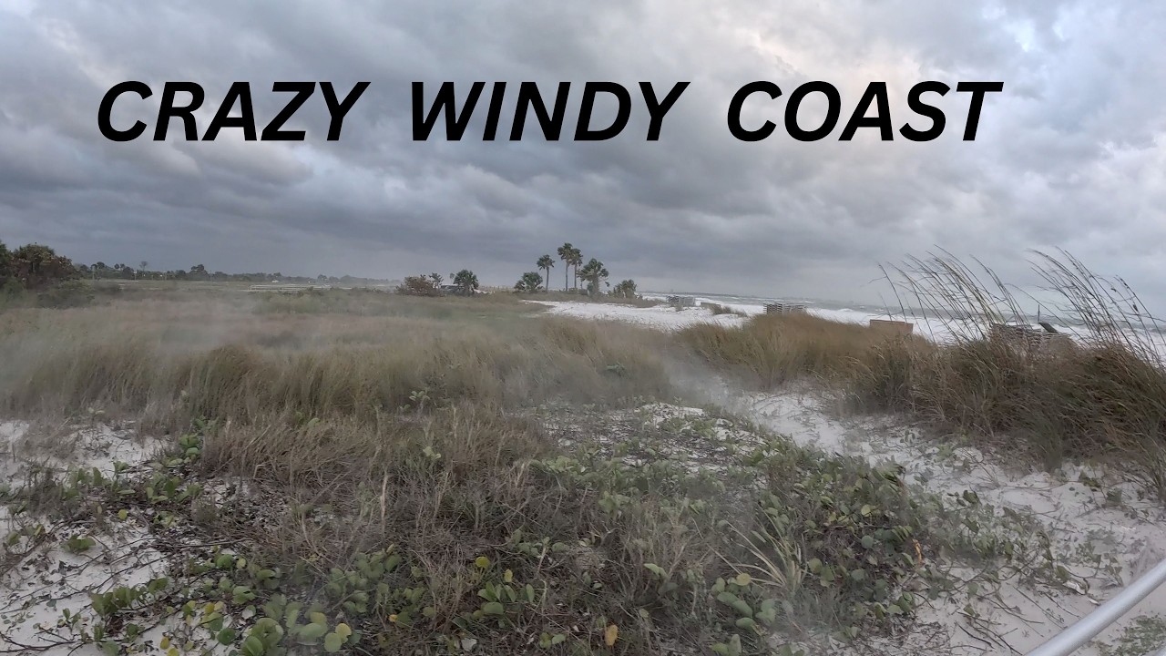 Honeymoon Island on a Crazy Windy Day, Dunedin Florida Fun!