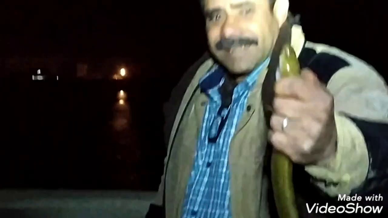 طرق صيد الحنشان واماكن تواجده