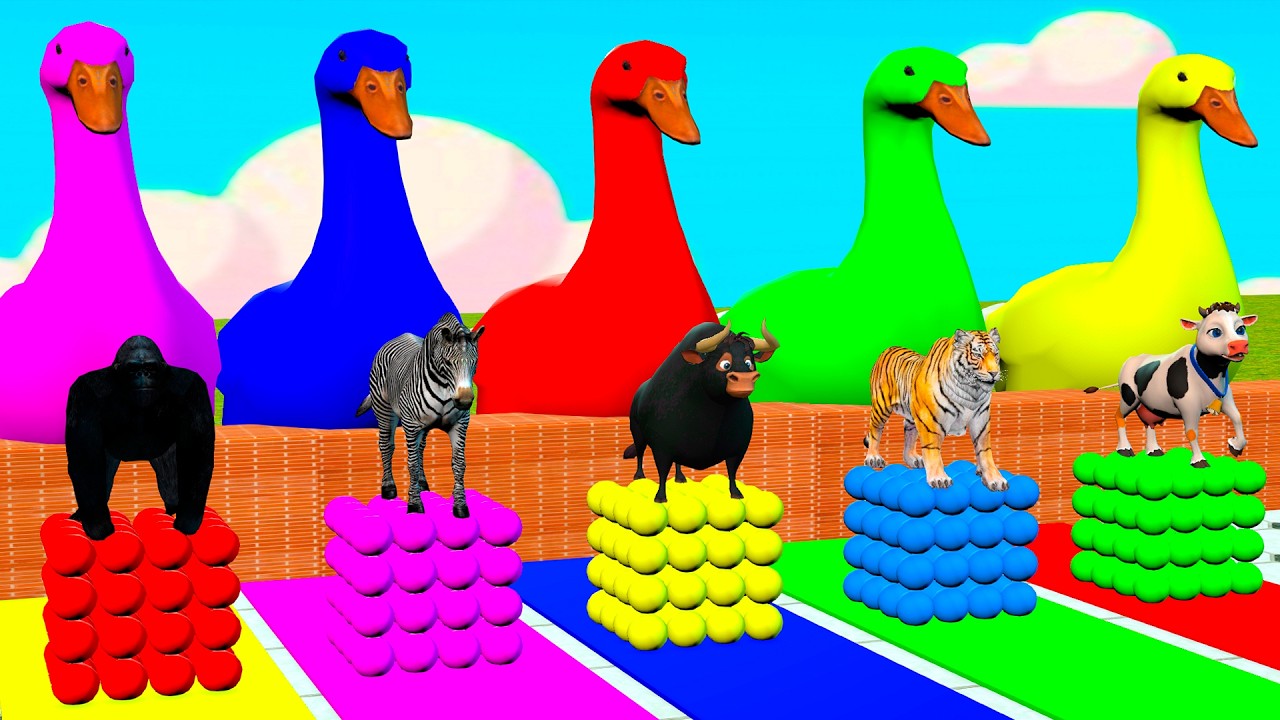 Long Slide Game With Cow Elephant Gorilla Hippopotamus Tiger 3d Animal Game Funny 3d Animals