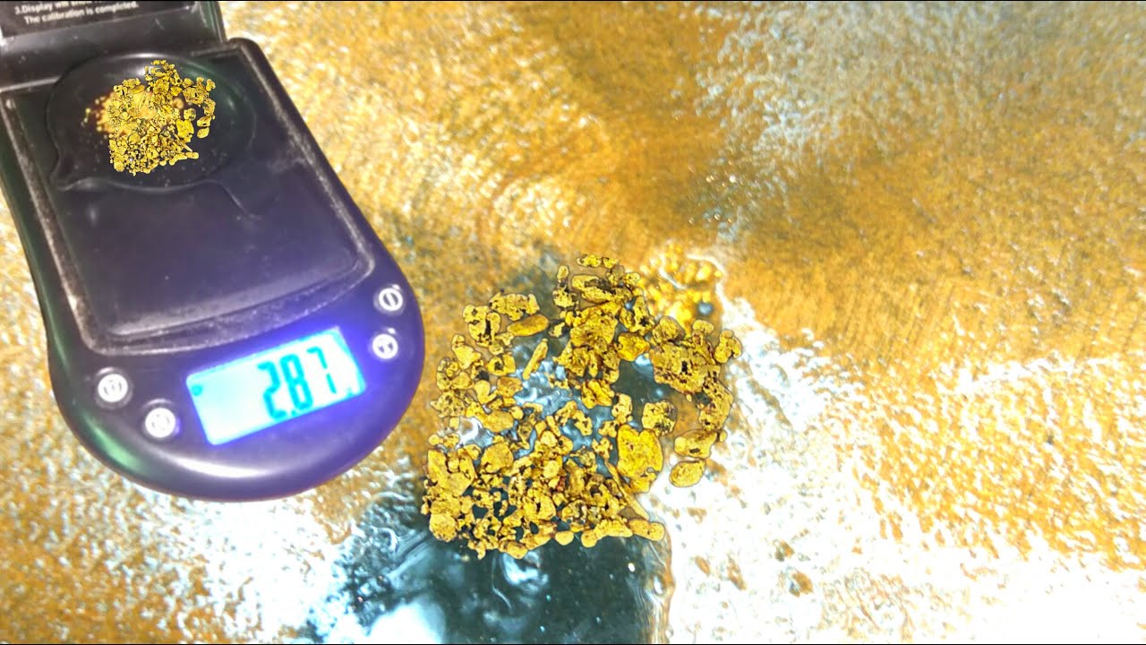 Gold Exploitation in the River