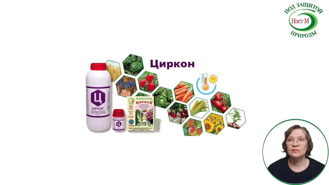 Вопросы и ответы Циркон