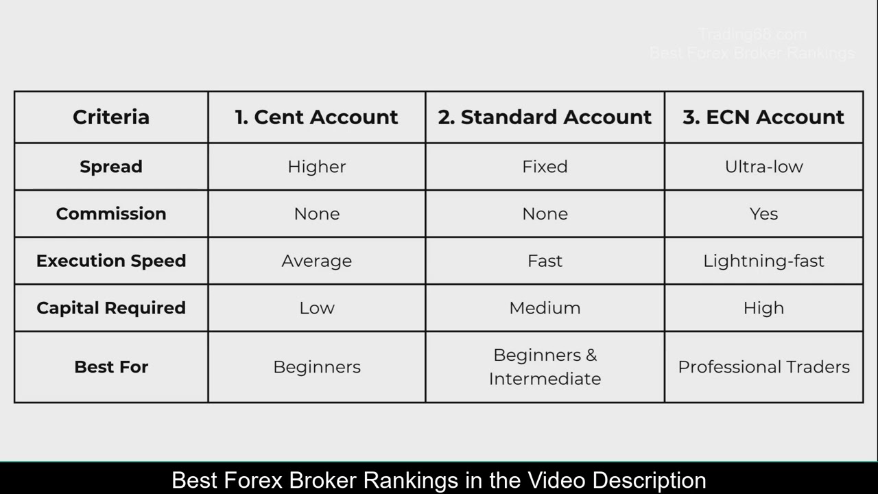 Differences between Forex account types (Cent, Standard, ECN) [0216]