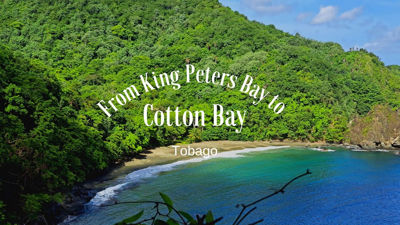 Hiking from King Peters Bay to Cotton Bay/ Tobago/Hiking vlog🇹🇹🇹🇹
