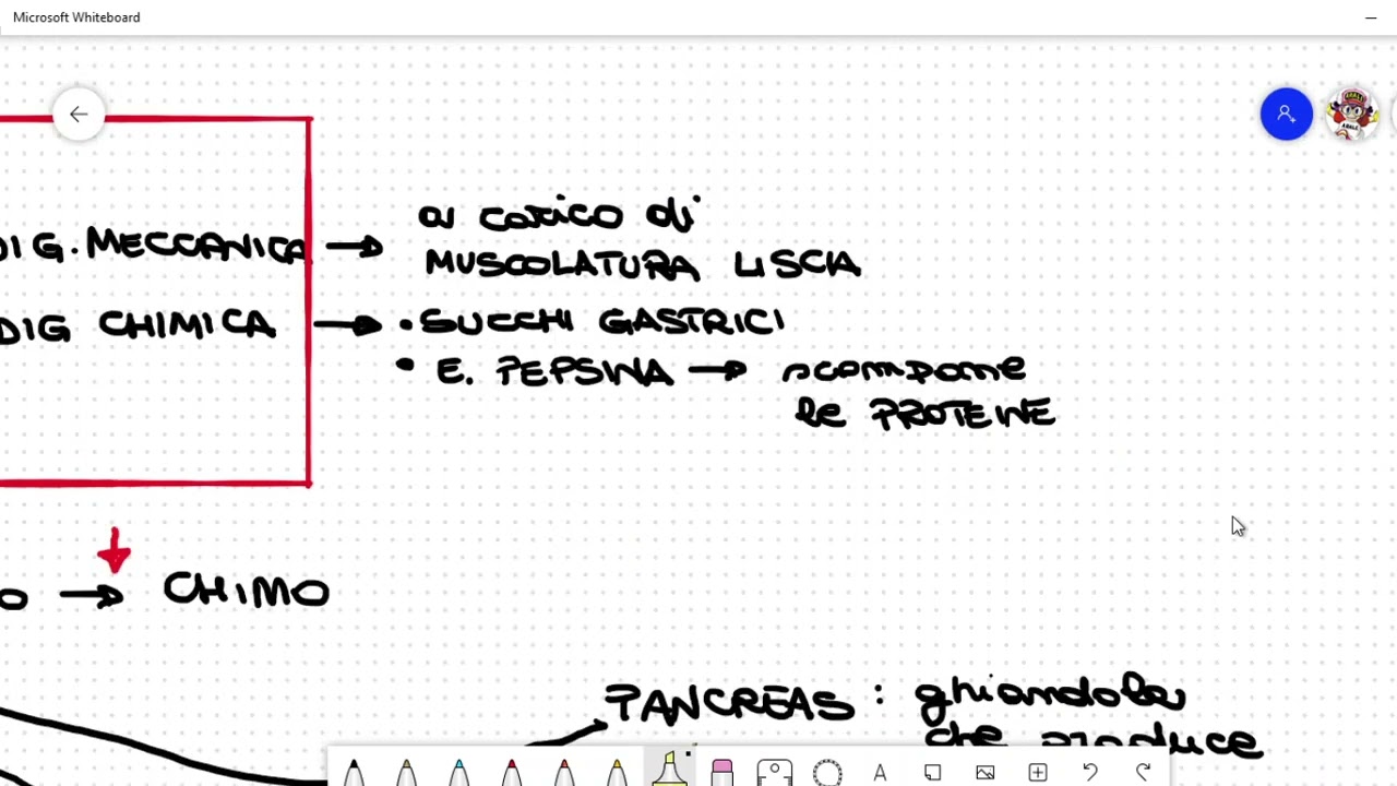 APPARATO DIGERENTE [scuola media]