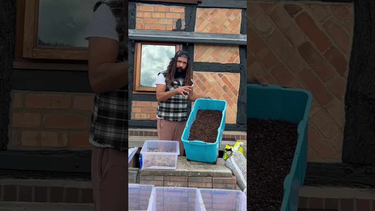 How to make a Plant propagation box - &laquo;&nbsp;prop box&nbsp;&raquo;