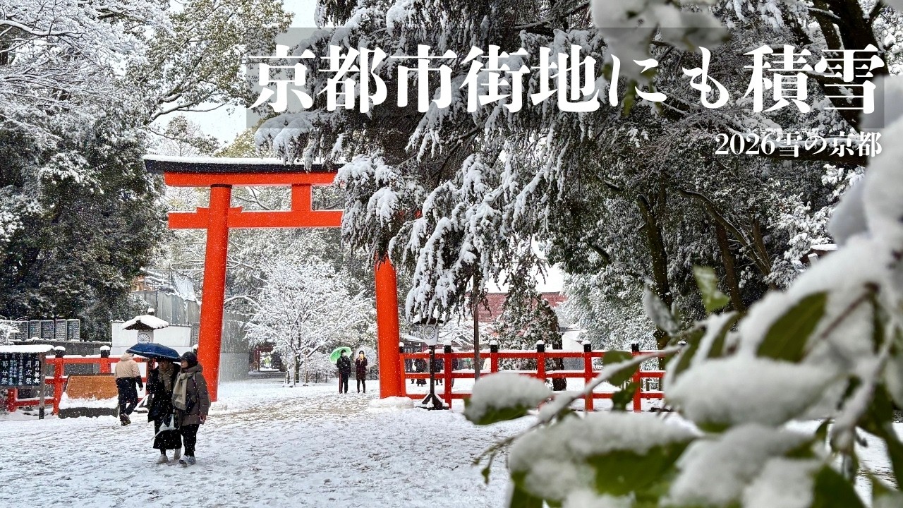 【京都雪景色2026】2/8下鴨神社・2/9清水寺｜市街地も積雪｜静寂の雪の京都