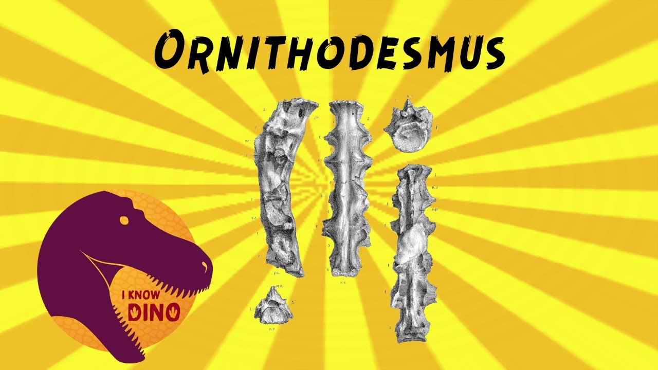 Ornithodesmus: Dinosaur of the Day