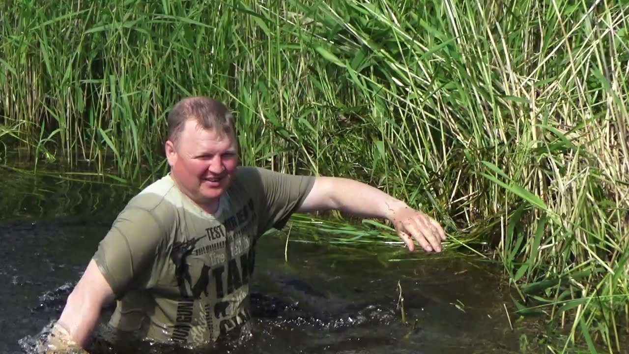 Гоняем сазанов в ручье. Пробрались на болотоходе в глухие места.