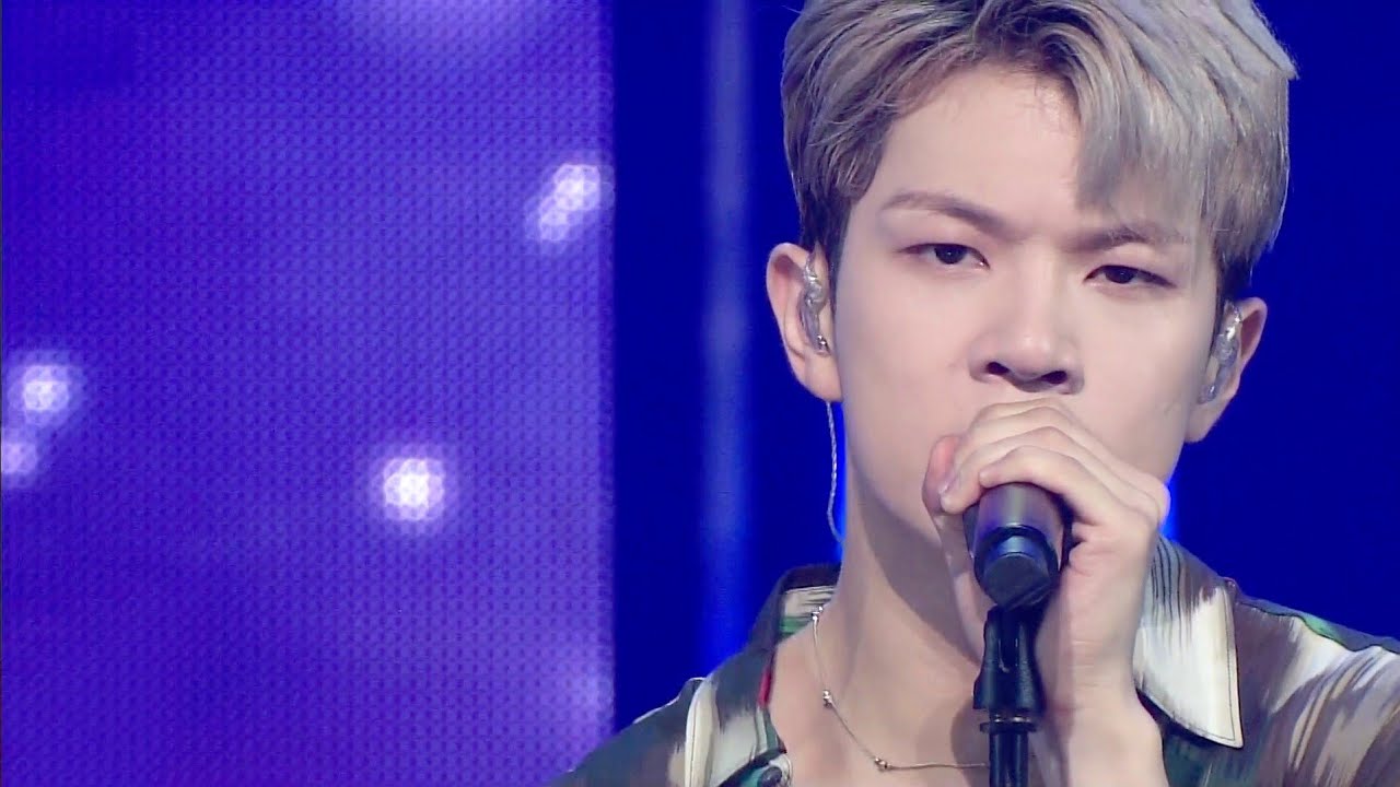 엔플라잉(N.Flying) - Flower Fantasy 교차편집(stage mix)