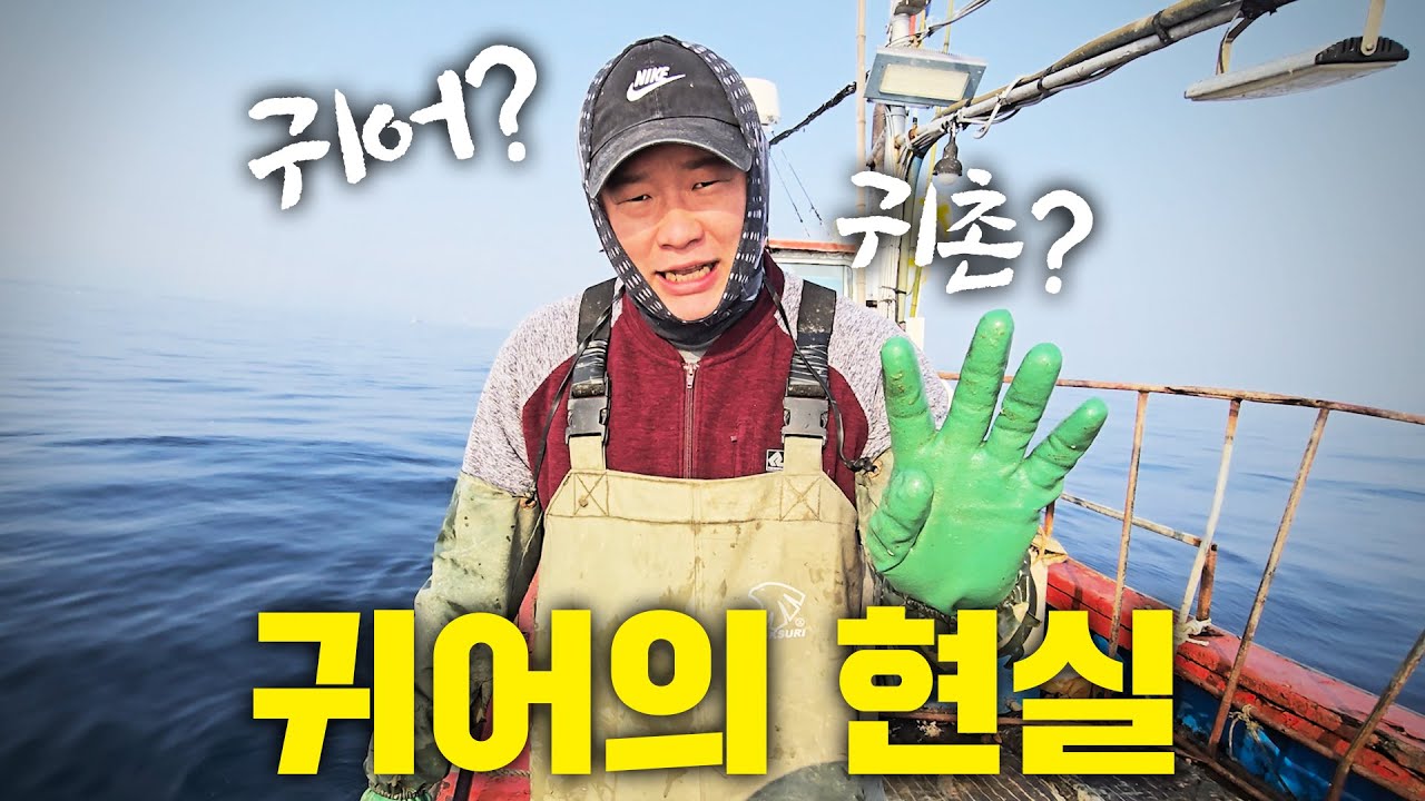 10명 중 6명 빛더미! 이래도 귀어를 가시겠습니까?