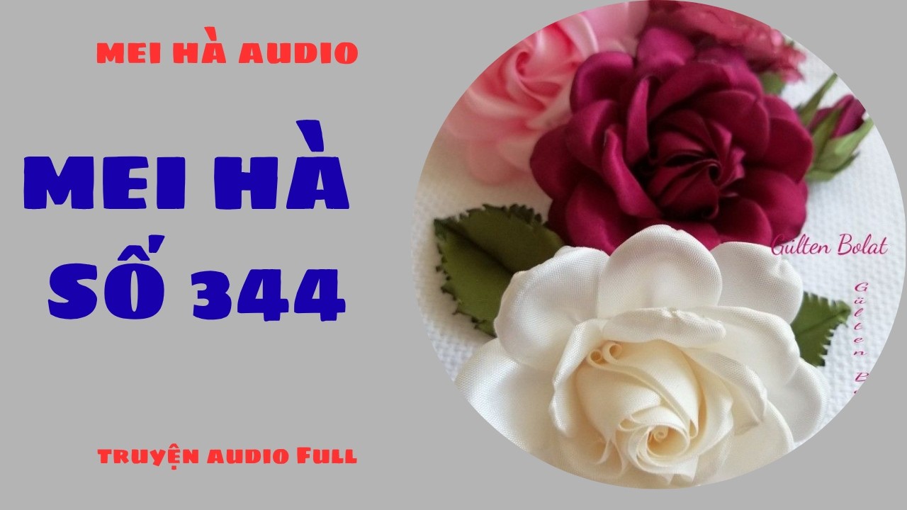 MEI H&Agrave; AUDIO SỐ 344 - FULL - TRUYỆN AUDIO FULL
