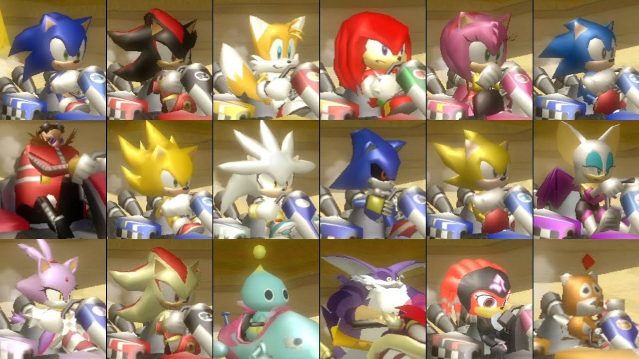If 18 Sonic Characters Were In Mario Kart Wii