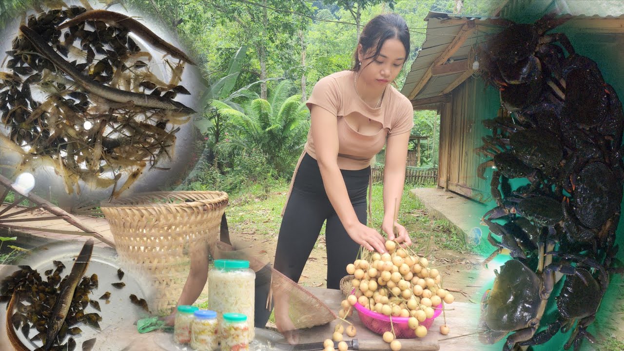 hunting for shrimp, crab and stream fish, breaking bamboo shoots to make spicy chili seasoning