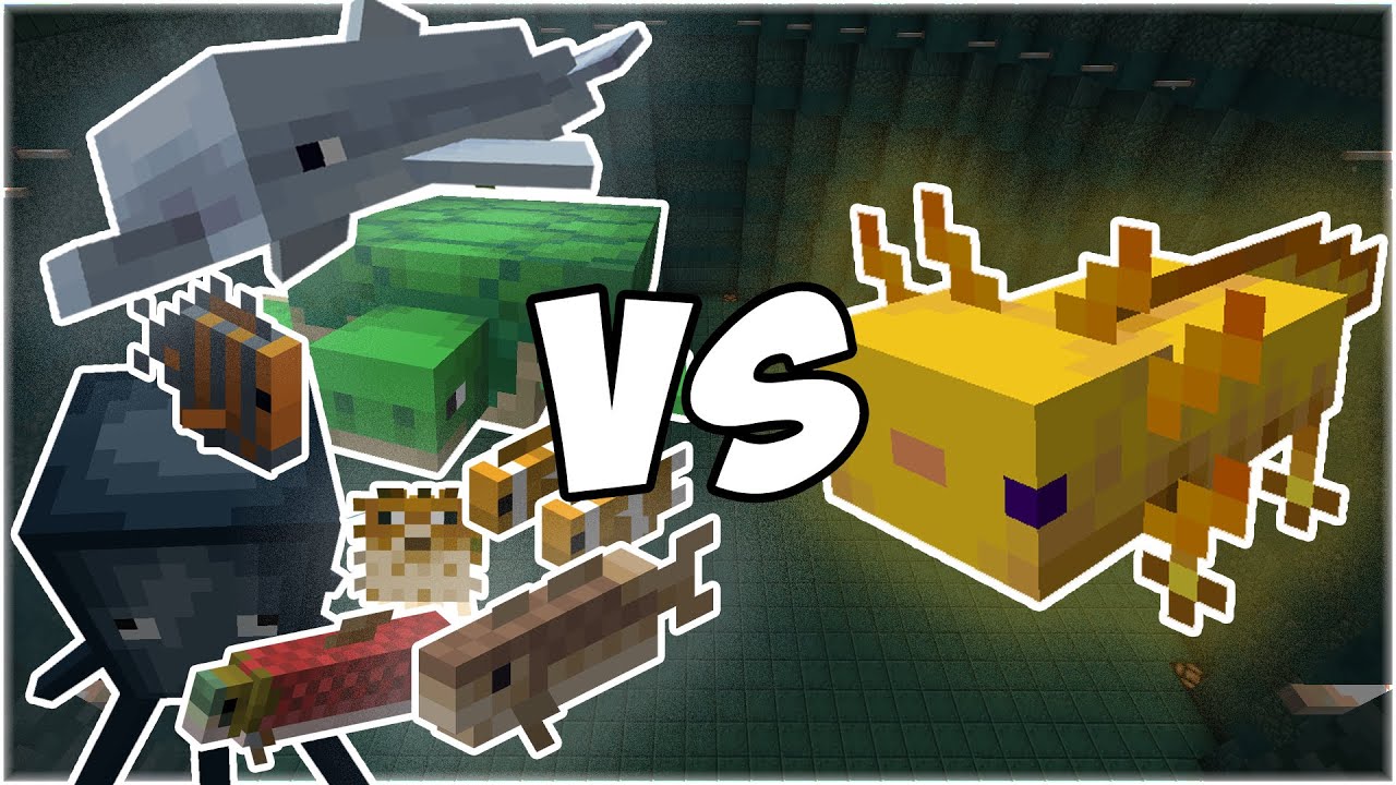 Ocean Army vs Axolotl - Minecraft Mob Battle