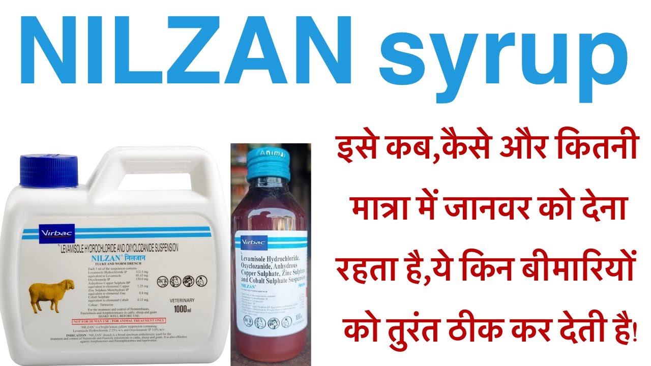 Nilzan syrup uses in hindi/how to use nilzan syrup in veterinary/nilzan syrup use dose side effects