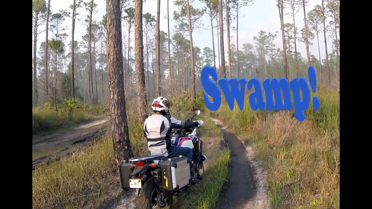 Africa Twin at a Swamp!