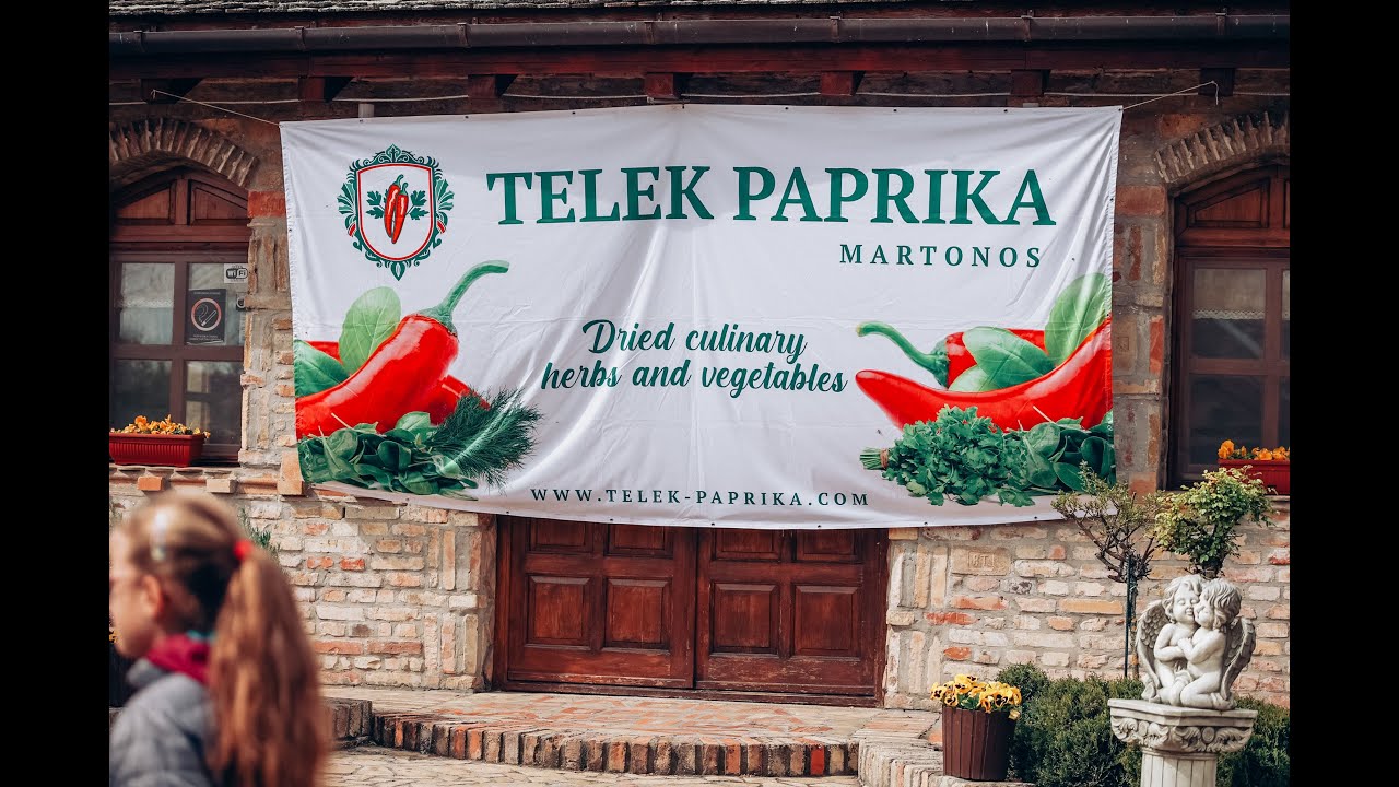 Telek Paprika Company Family Day 2025